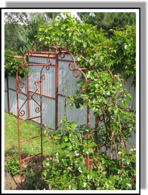 ���� � ������������� ����