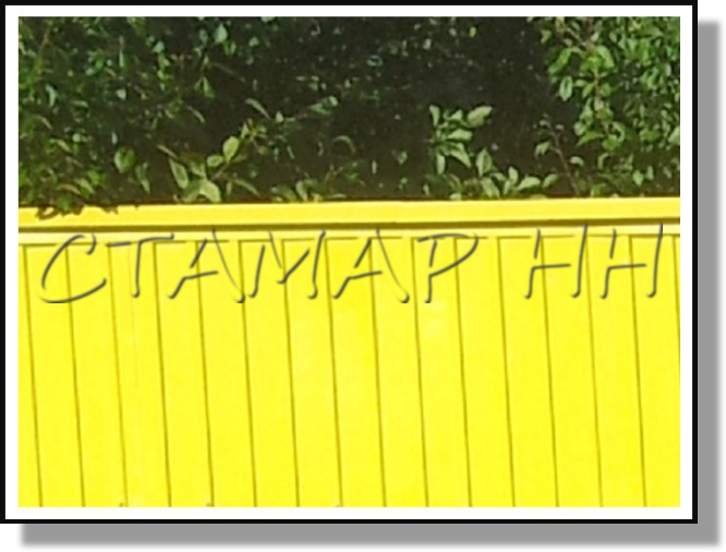 ���� ������ �� �����������