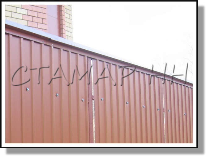 ���� ������ �� �����������