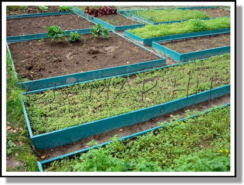 ������������� ������