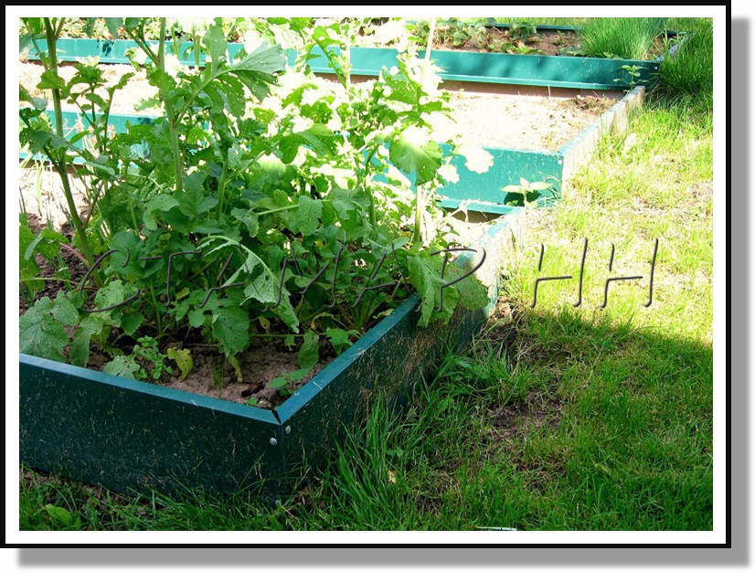 ������ �� ���������