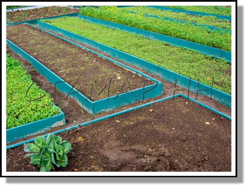 ������ �� ���������