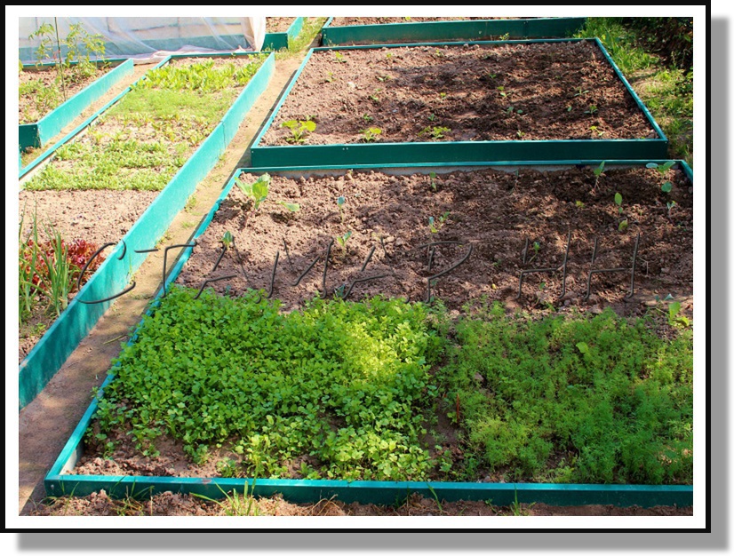 ������ �� ���������