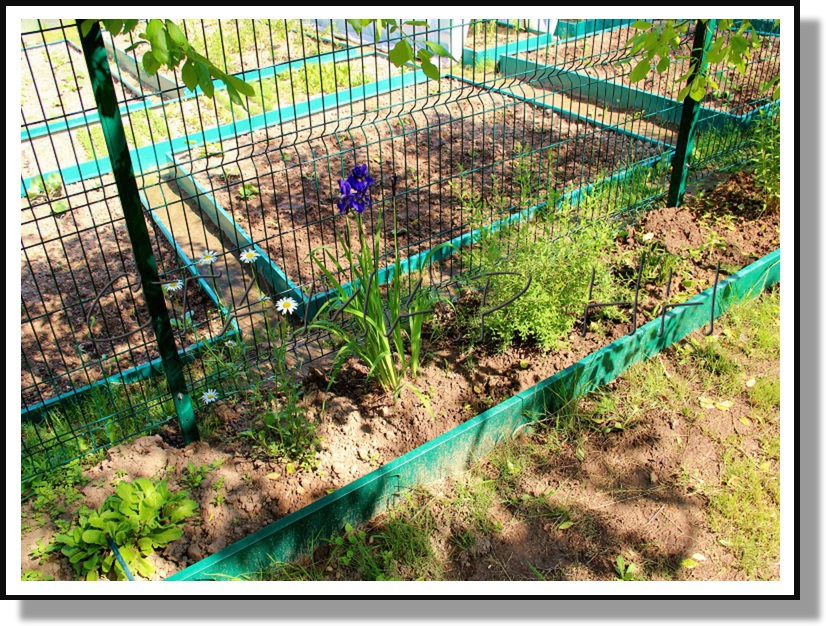 ������ �� ���������