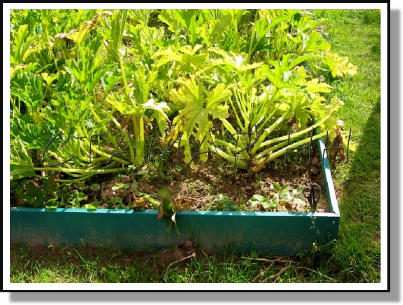 ������ �� ���������