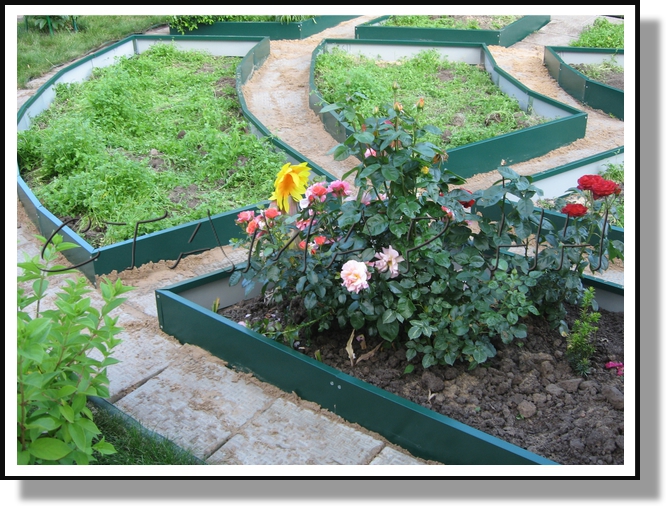 �������� ������