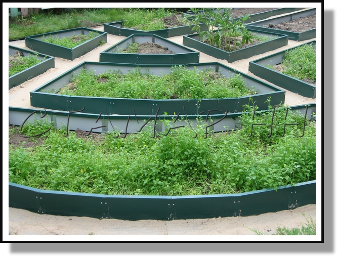 �������� ������