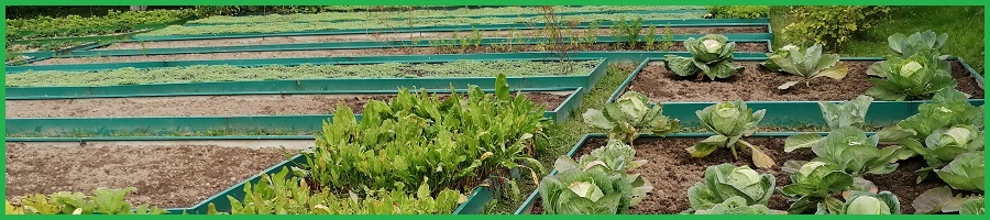 Огород.Грядки Огород.Грядки